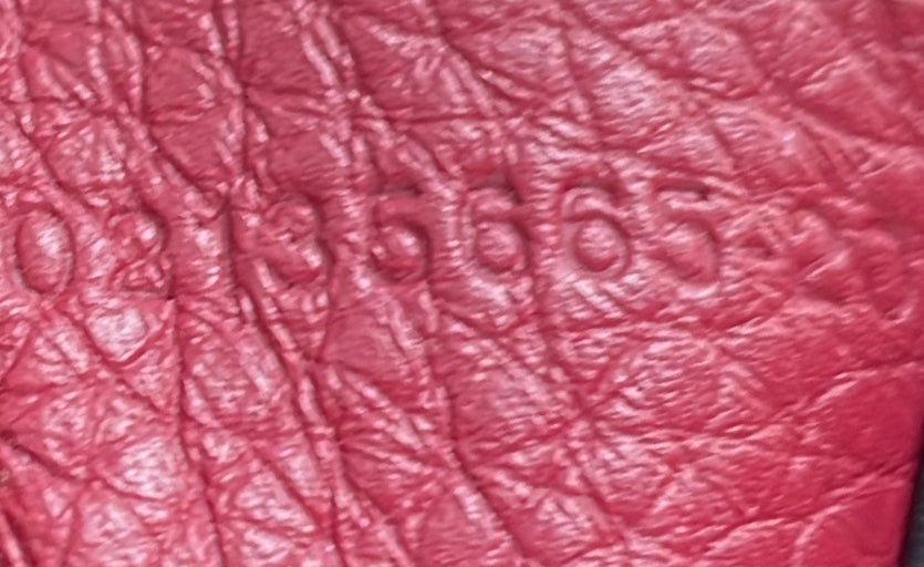 STRAPSTORY CROSSBODY BAG - 636