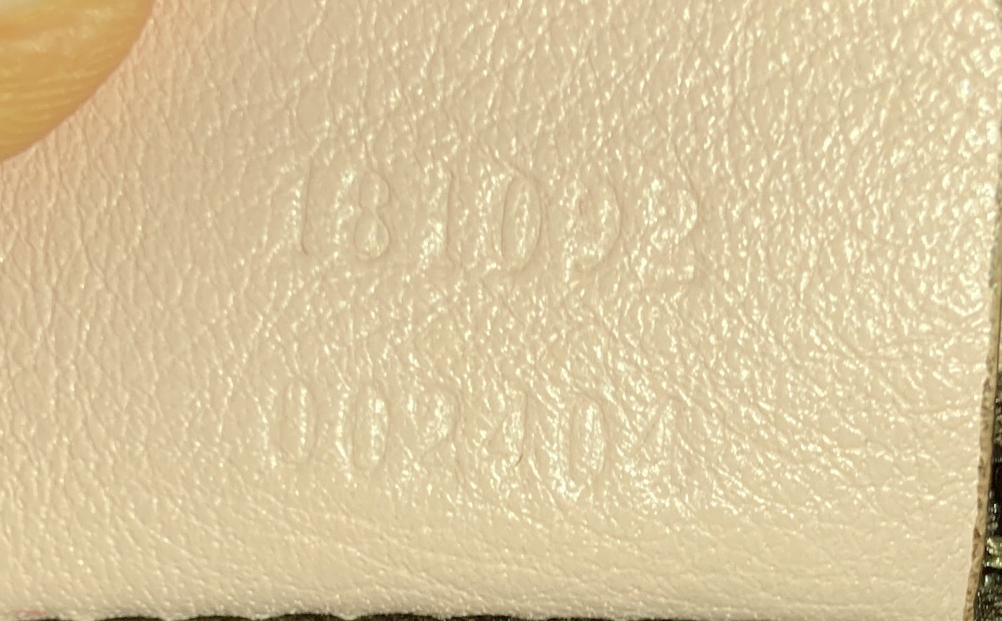STRAPSTORY MESSENGER - 195