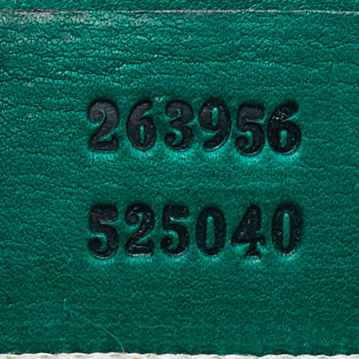 STRAPSTORY - GGC1 BAG - 3812