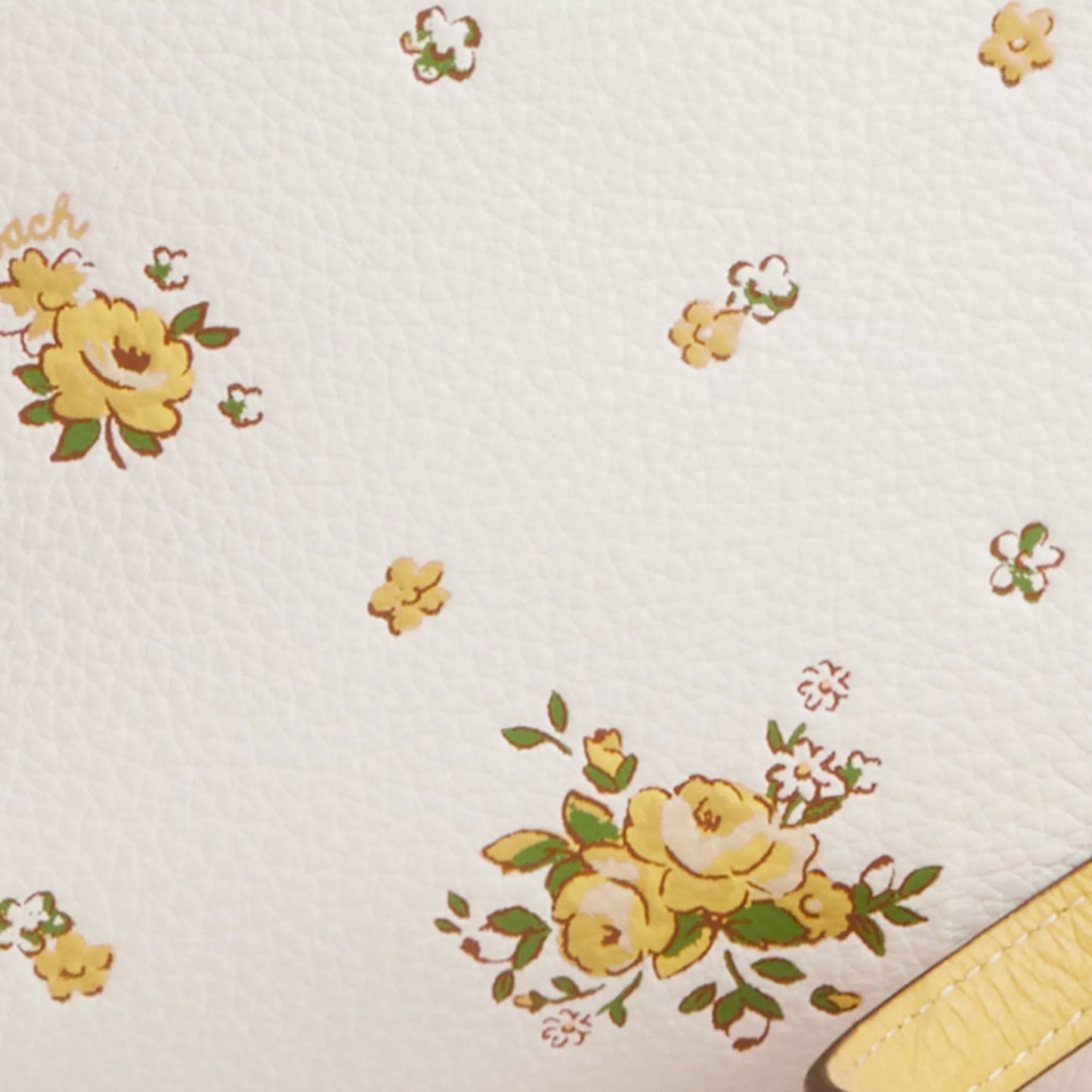 StrapStory - Crossbody 2021