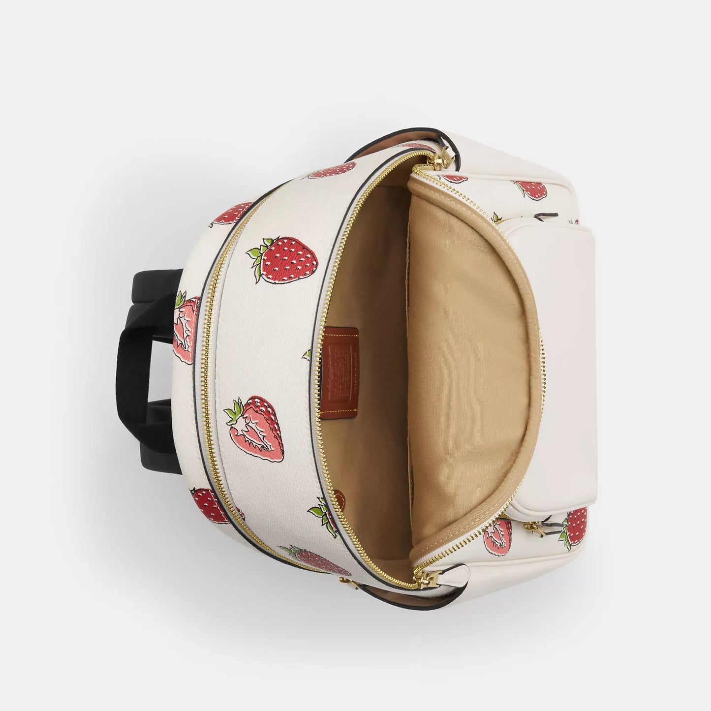 StrapStory - Backpack 493