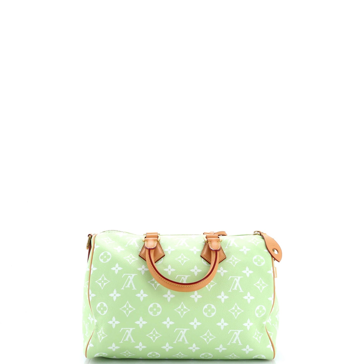 STRAPSTORY TOP HANDLE - 1305