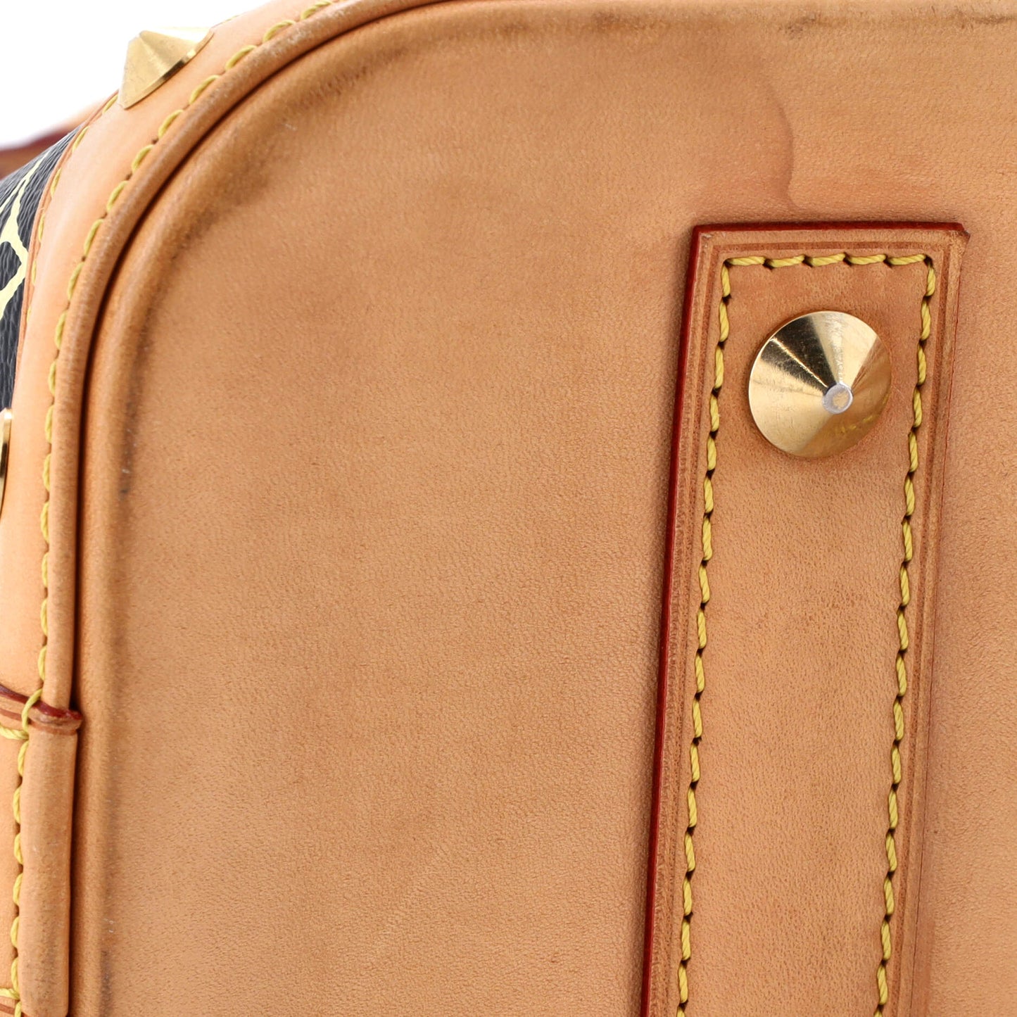 STRAPSTORY TOP HANDLE - 329