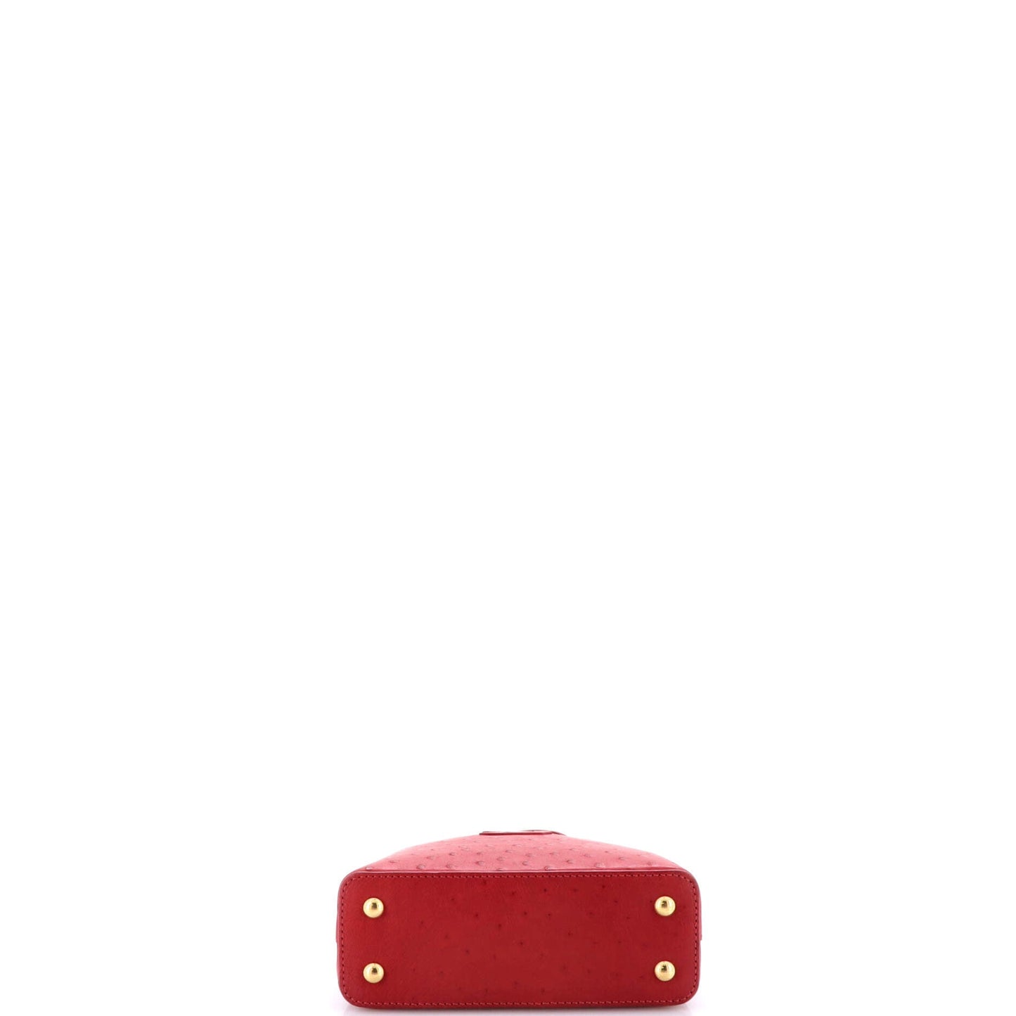 STRAPSTORY TOP HANDLE - 502