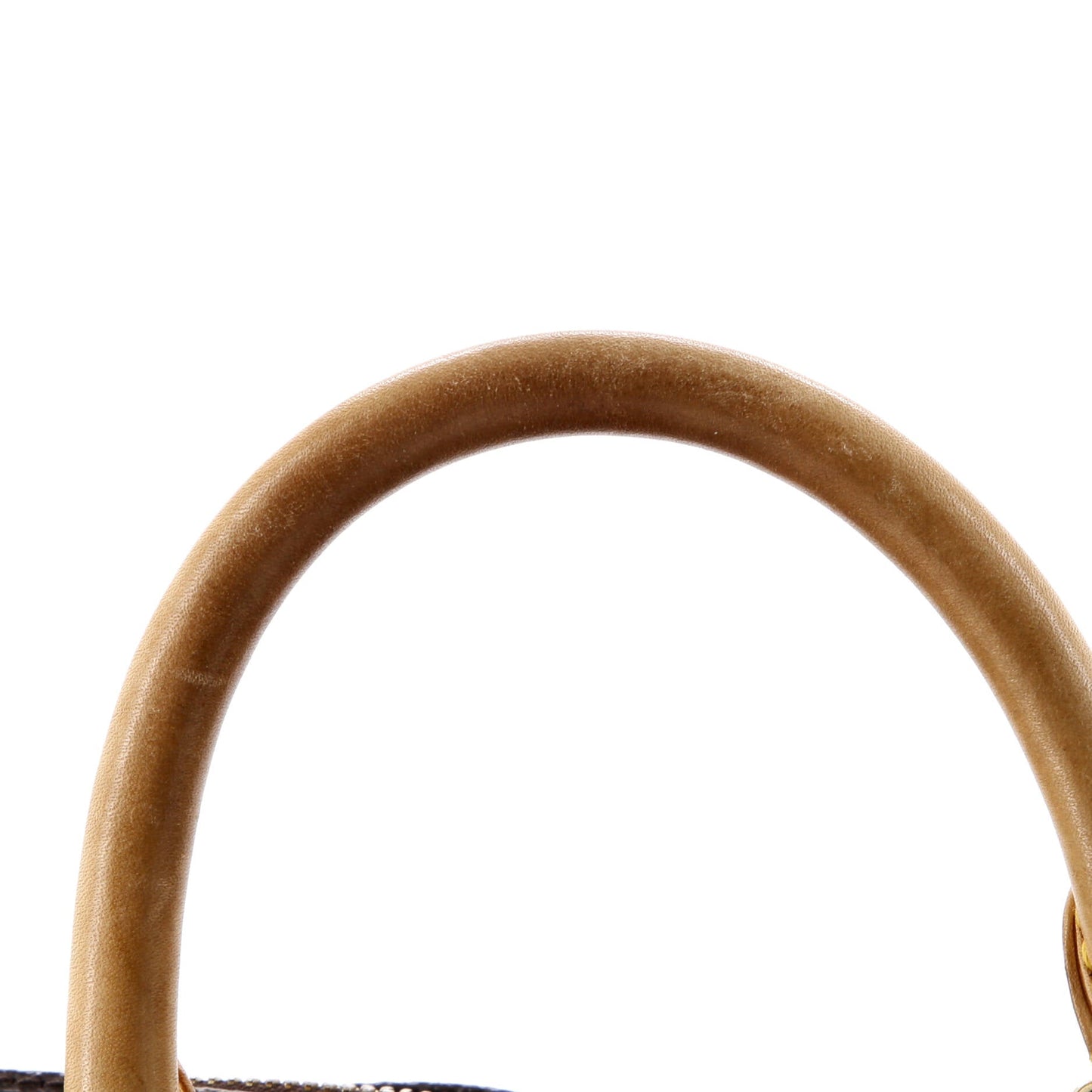 STRAPSTORY TOP HANDLE - 645