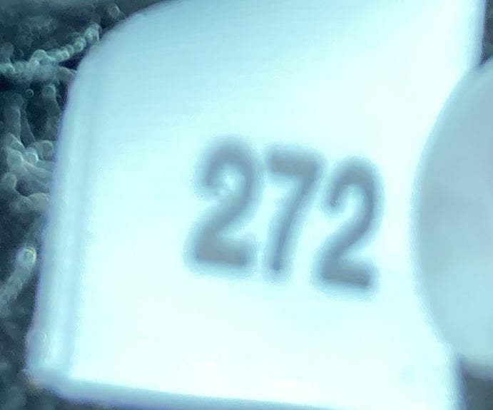 STRAPSTORY HOBO - 217