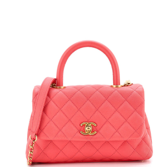 STRAPSTORY TOP HANDLE - 1515