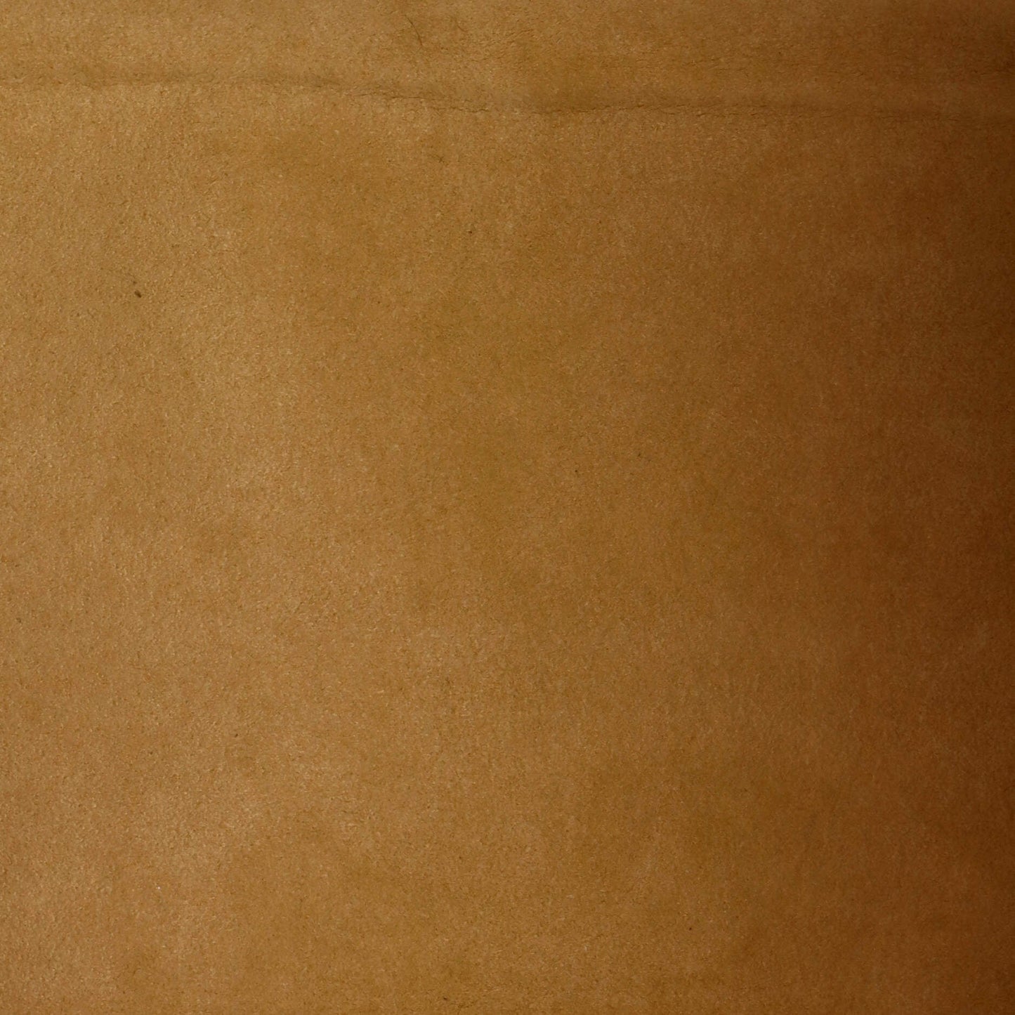 STRAPSTORY TOTE - 1924