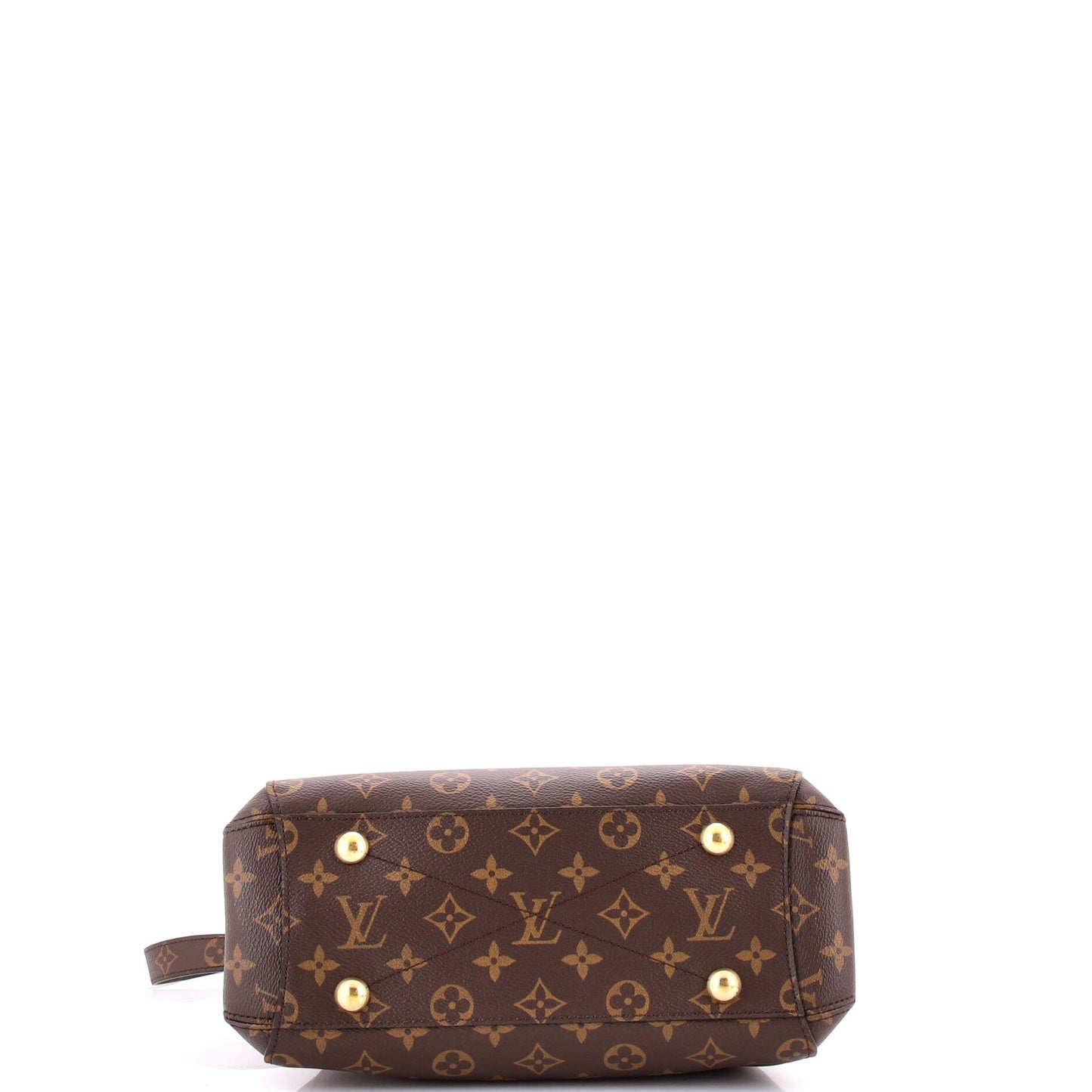 STRAPSTORY TOP HANDLE - 1319