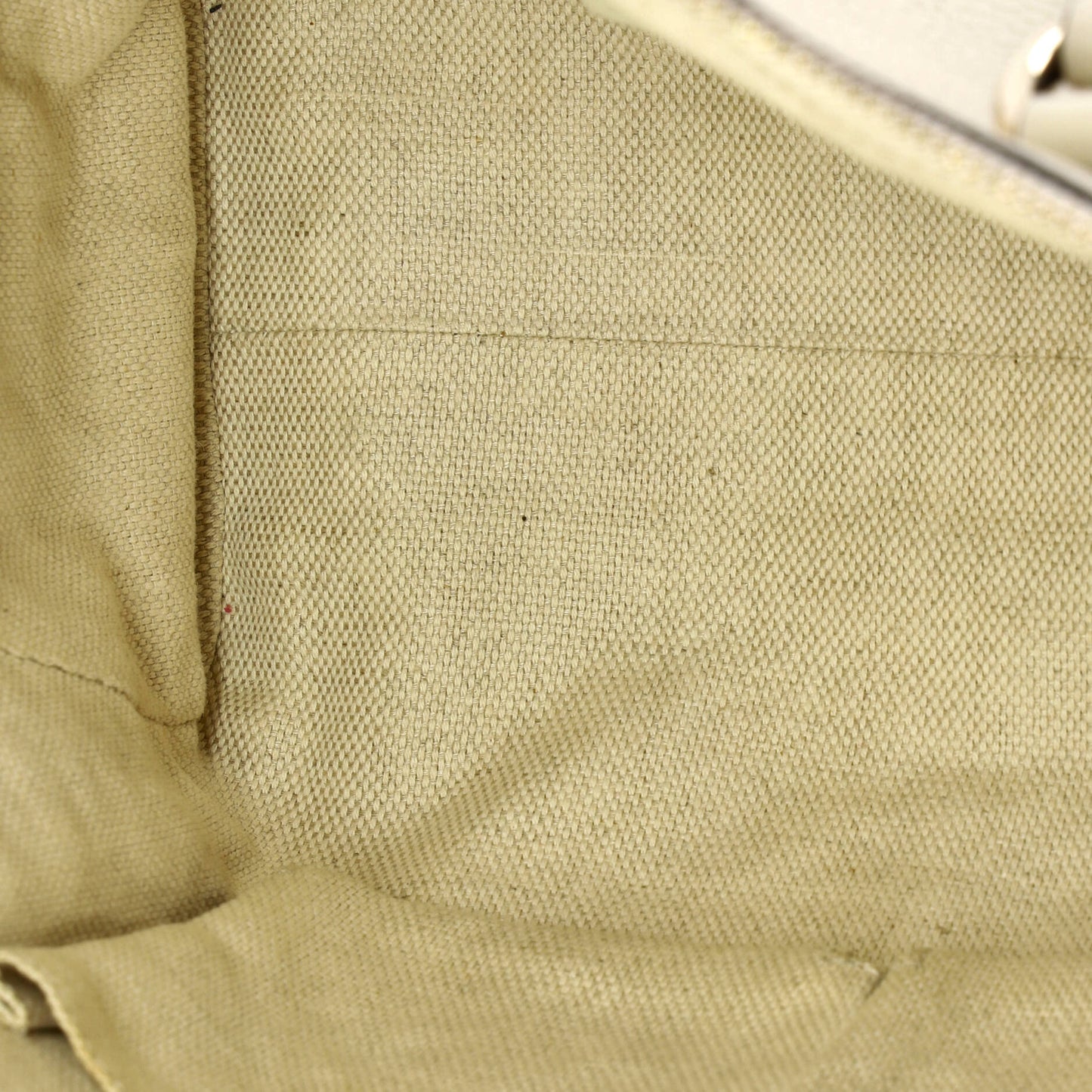 STRAPSTORY TOTE - 1925