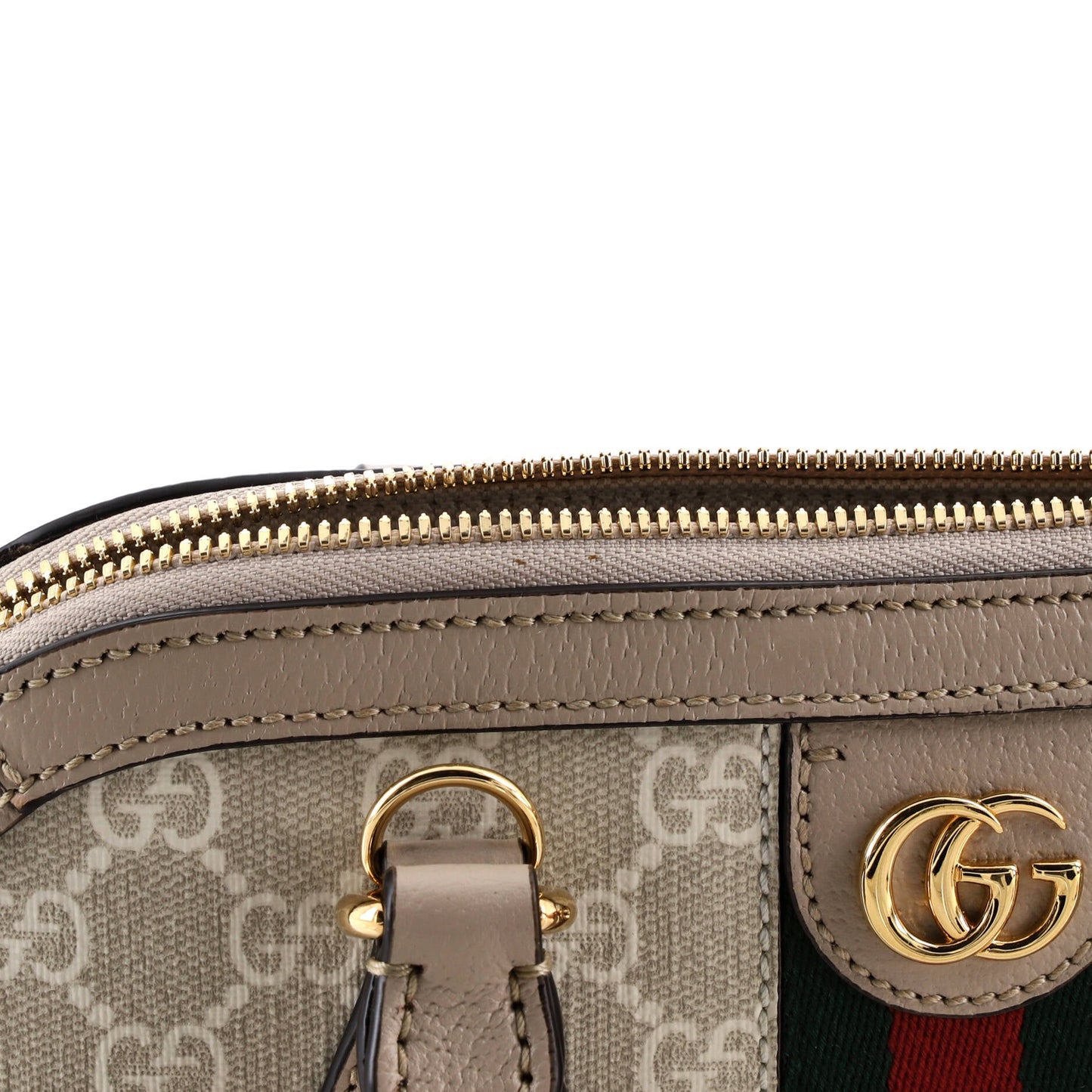 STRAPSTORY TOP HANDLE - 1689