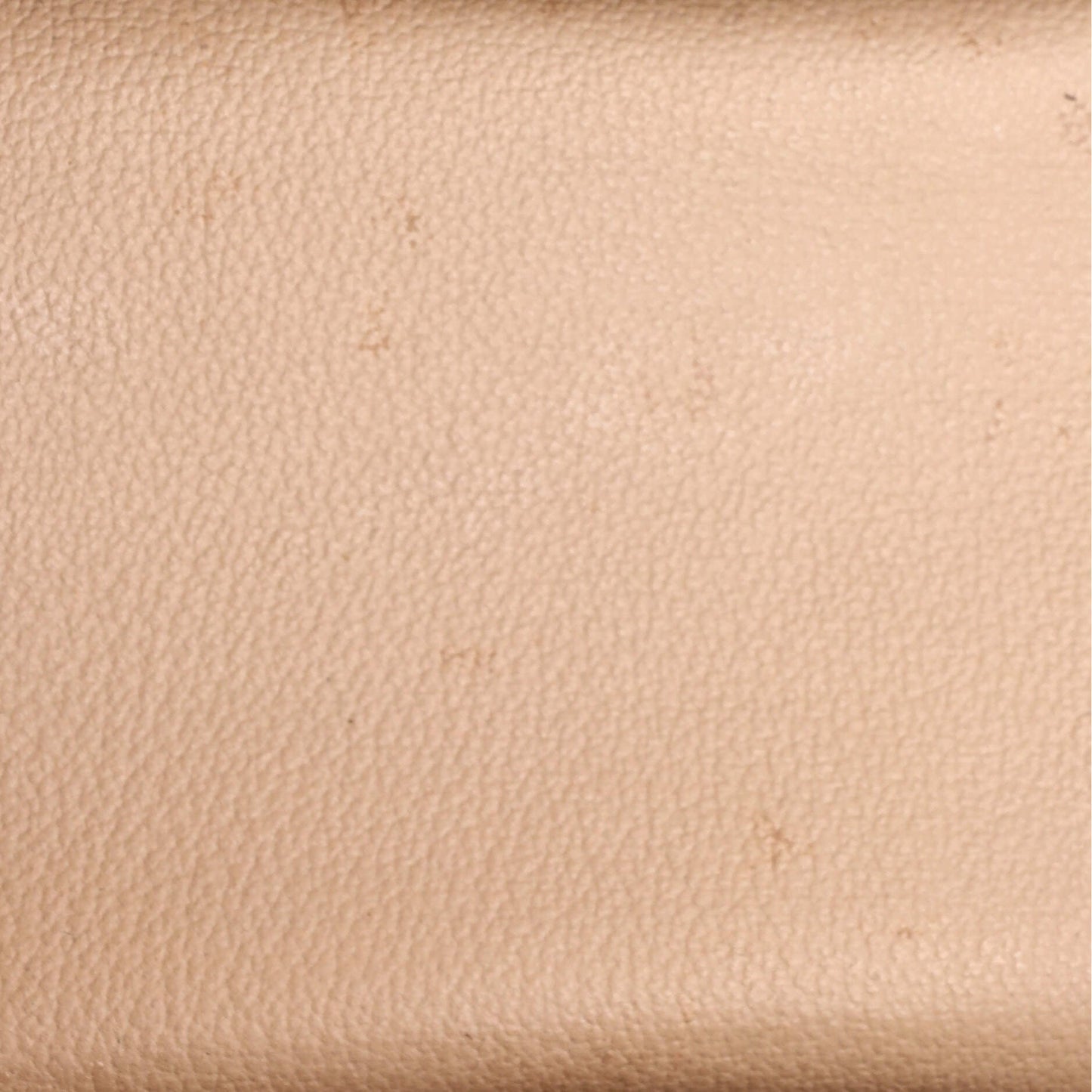STRAPSTORY COSMETIC CASE - 044