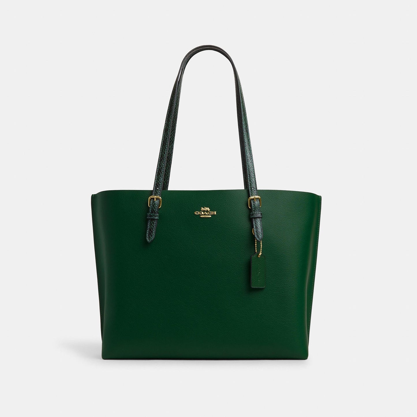 StrapStory - Tote Bag 1037