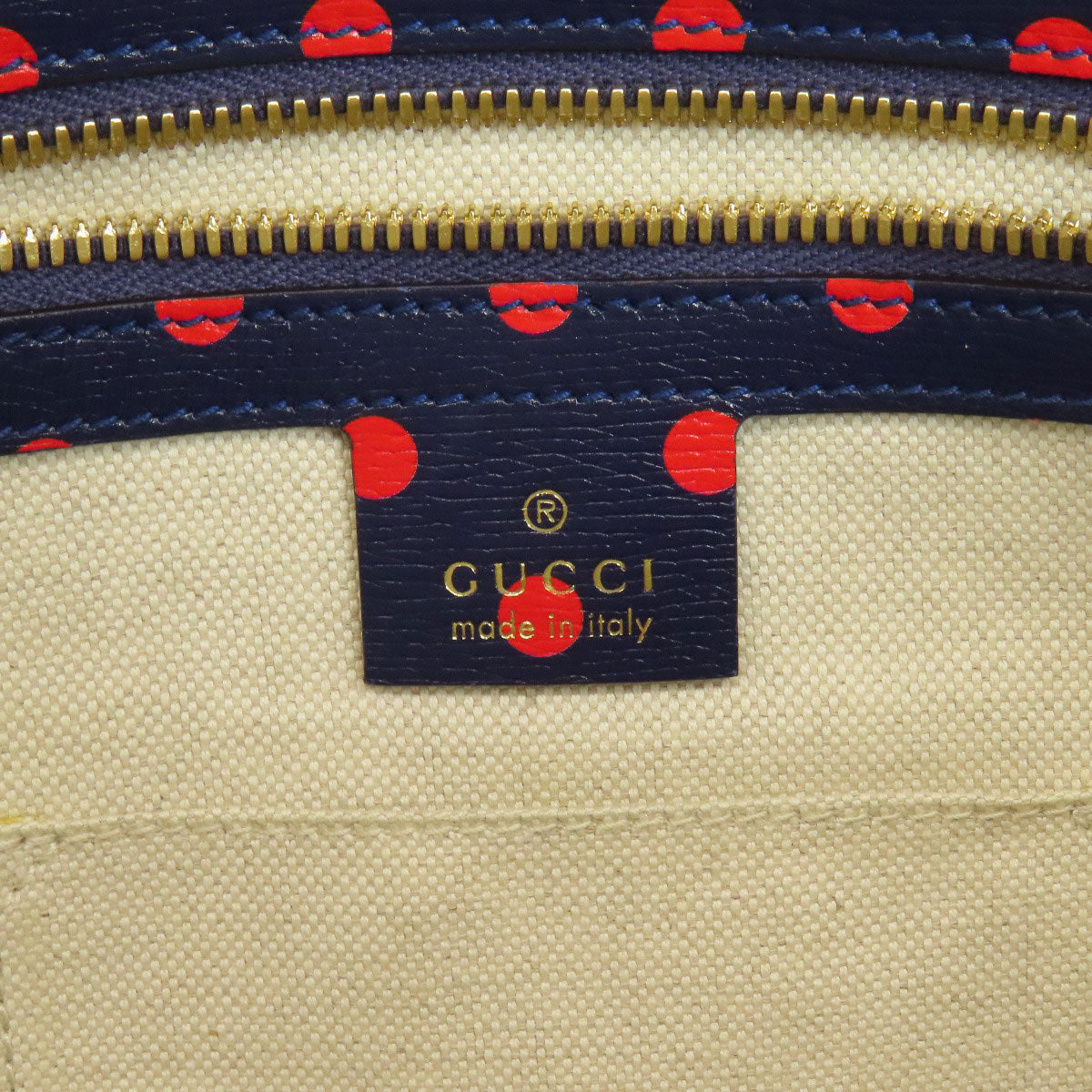 STRAPSTORY - GGC1 BAG - 737