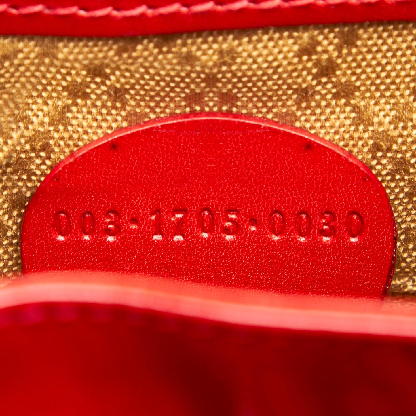 STRAPSTORY - GGC4 BAG - 3092