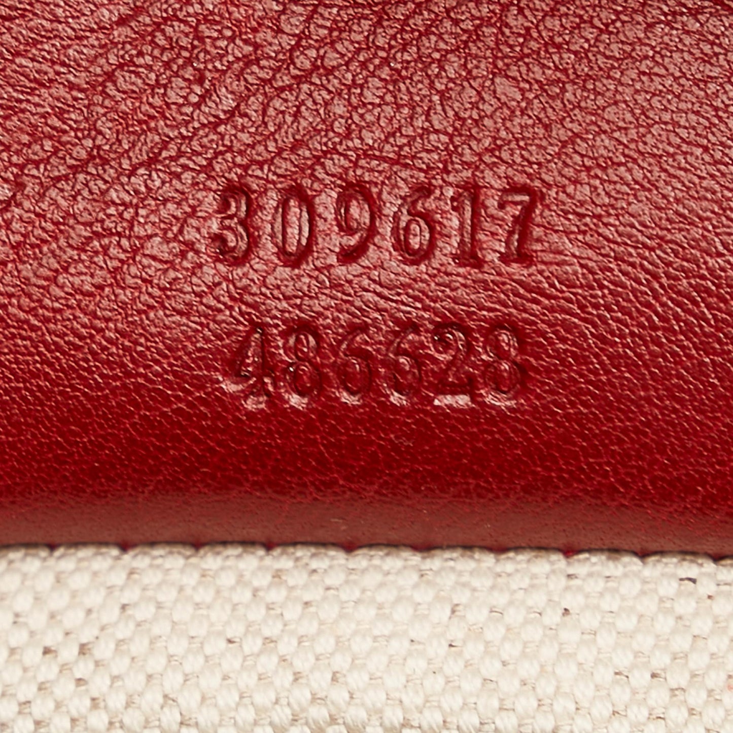 STRAPSTORY - GGC4 BAG - 2594