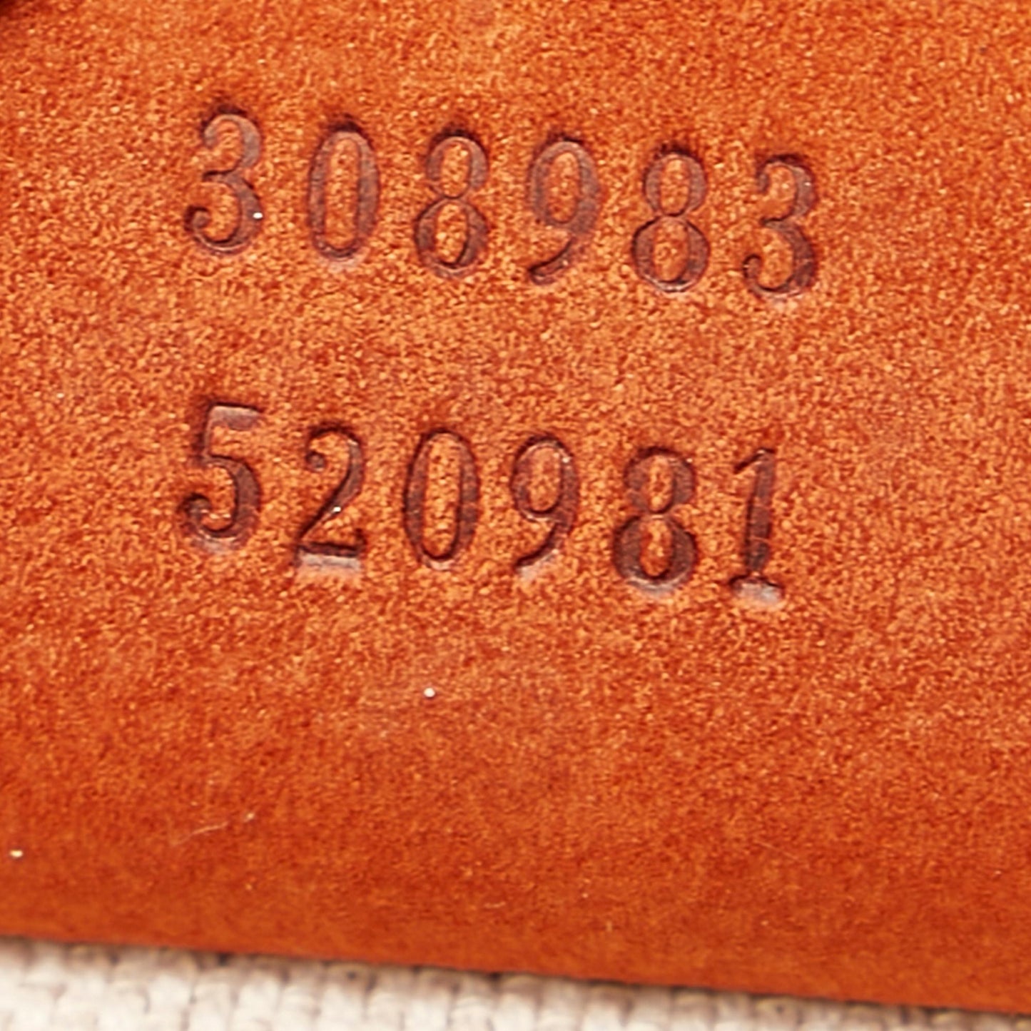 STRAPSTORY - GGC1 BAG - 2107