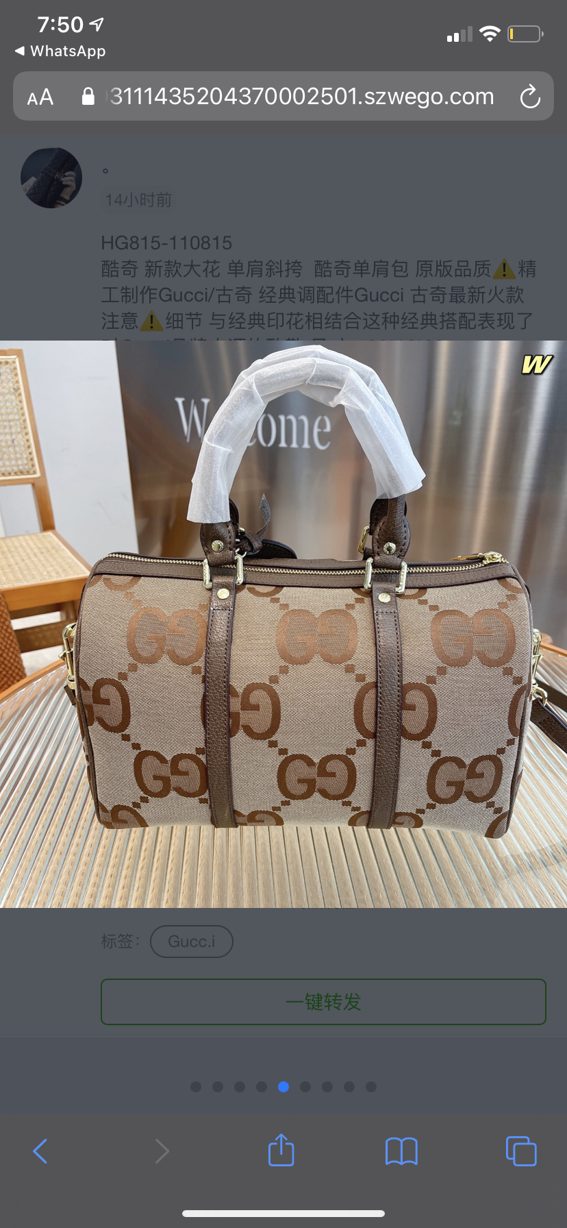 STRAPSTORY - GGC1 BAG - 059