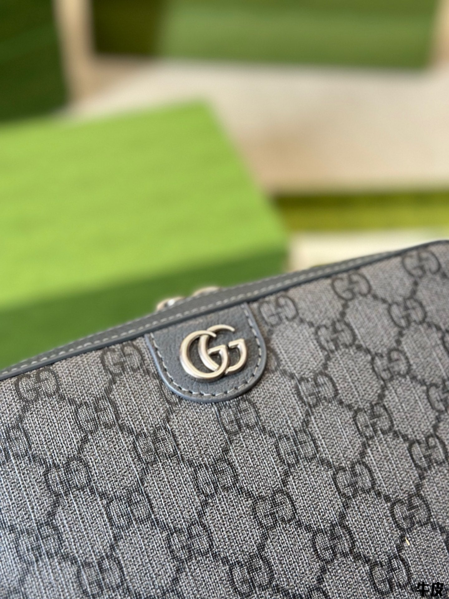 STRAPSTORY - GGC1 BAG - 981