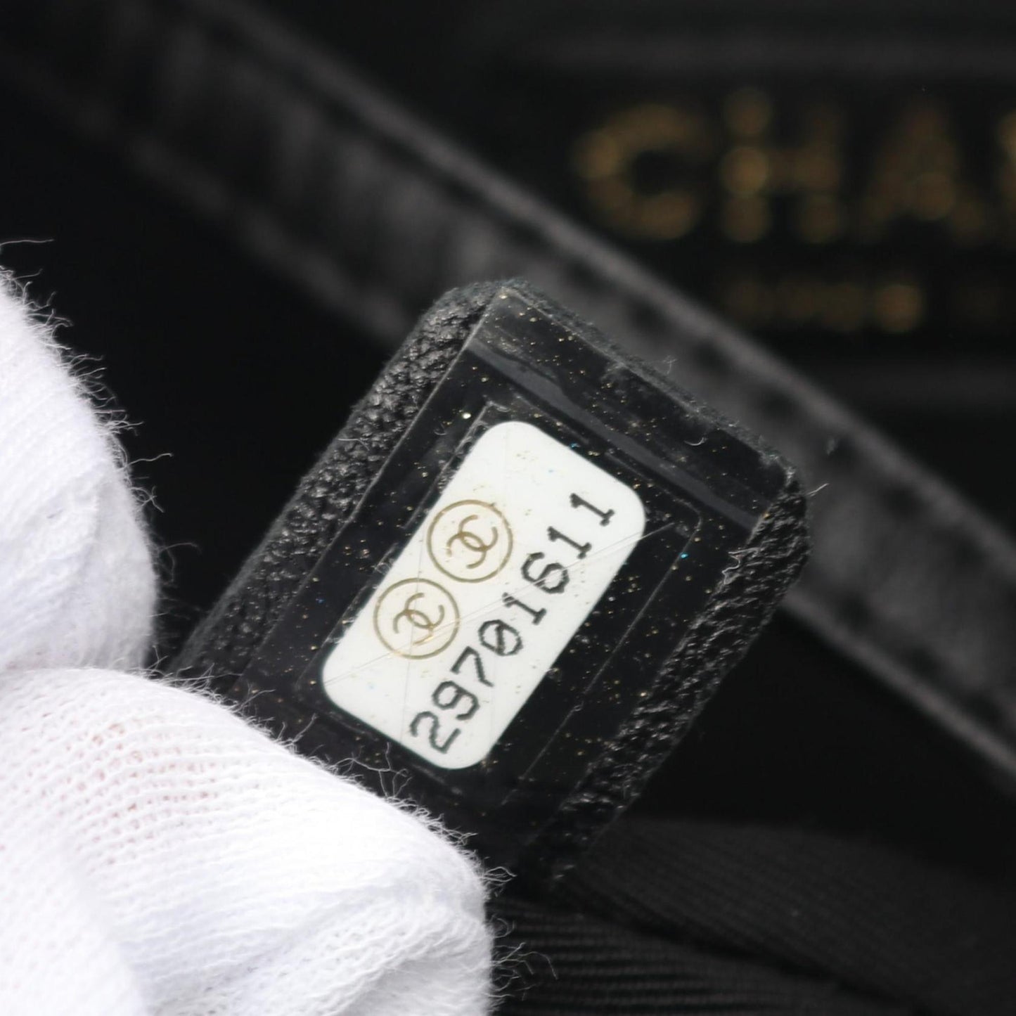StrapStory - Backpack 1334